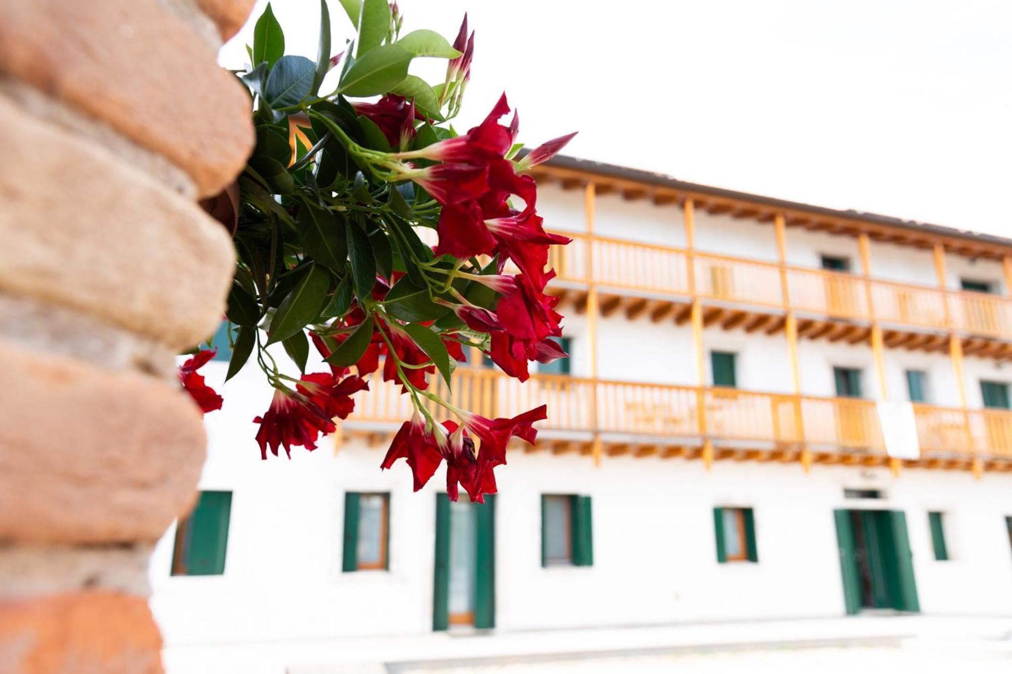 Albergo Diffuso Polcenigo C. Zoldan エクステリア 写真